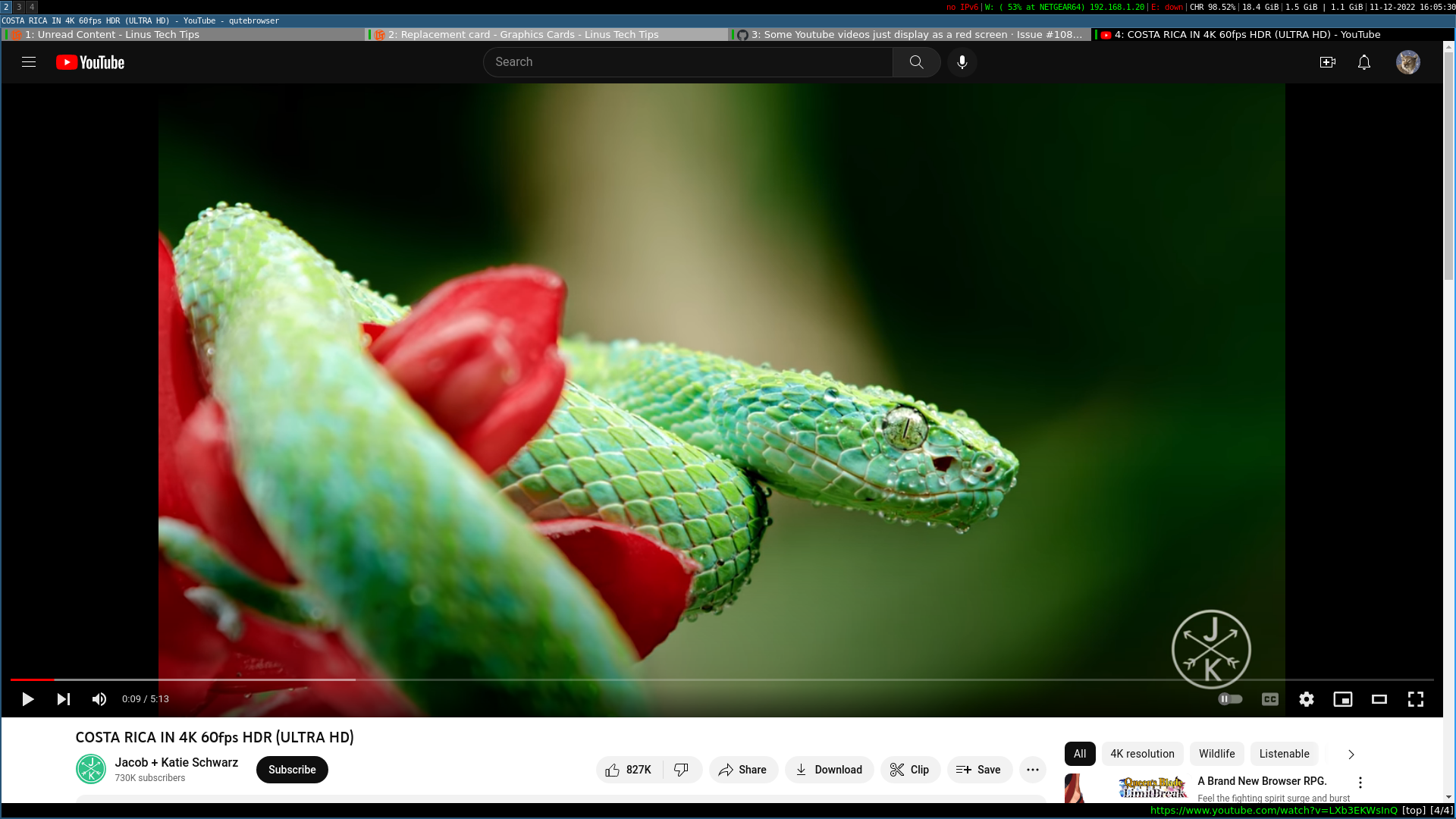 2022-11-12-160532_1920x1980_scrot