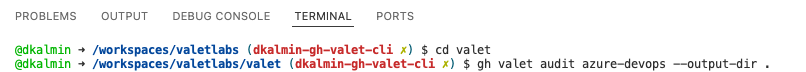 valet-audit-1 