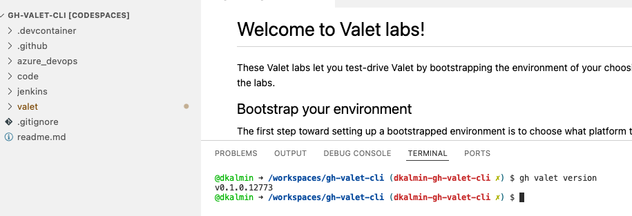 gh-valet-version