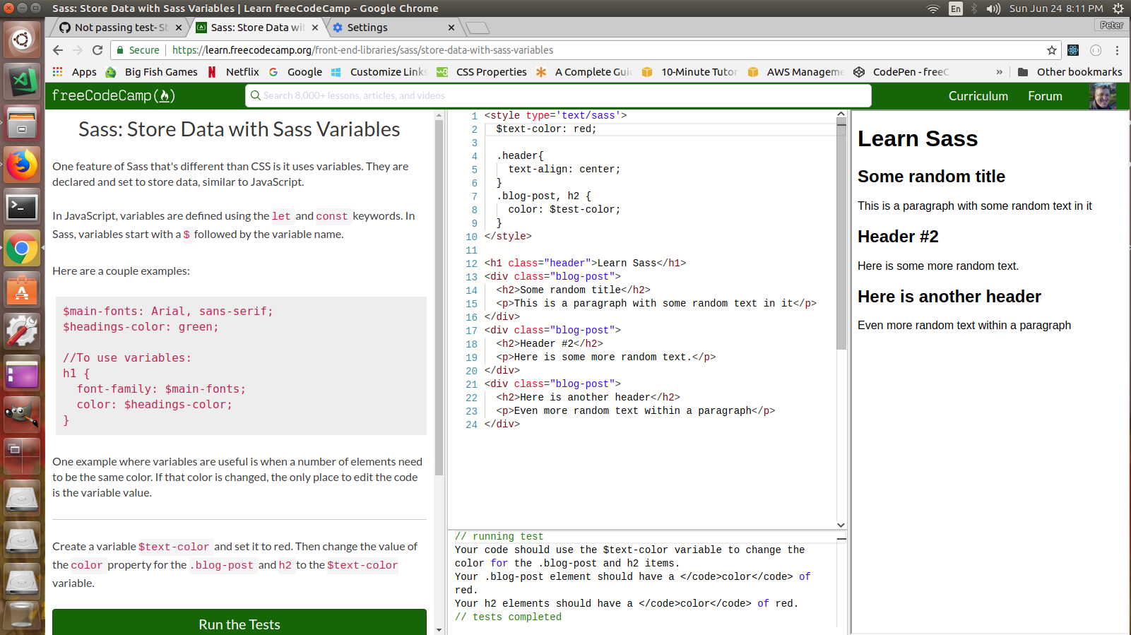 Not passing test- Store Data with Sass Variables. · Issue #17408 ...