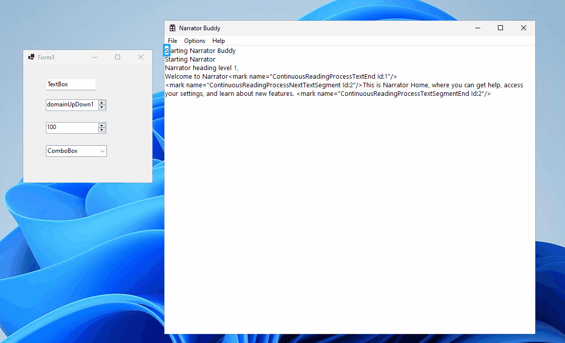 Accessibility Narrator cannot focus entire texts and announce