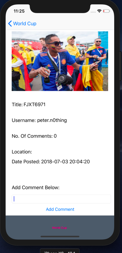Screen Shot 2019-06-02 at 11 25 57 AM