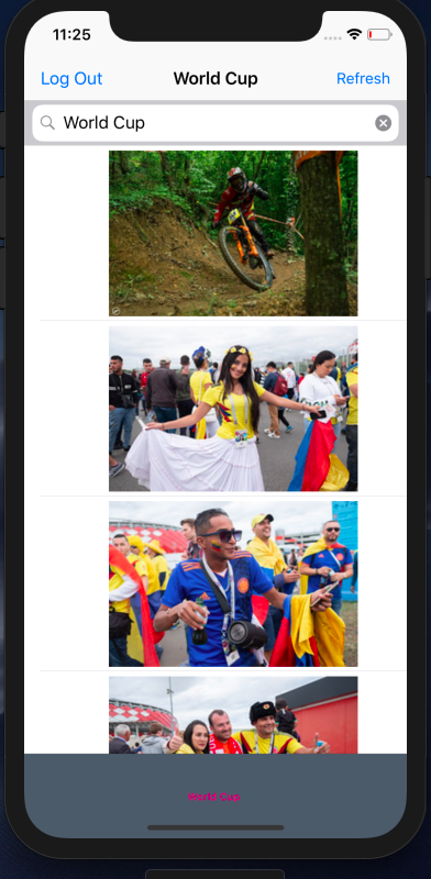 Screen Shot 2019-06-02 at 11 25 44 AM