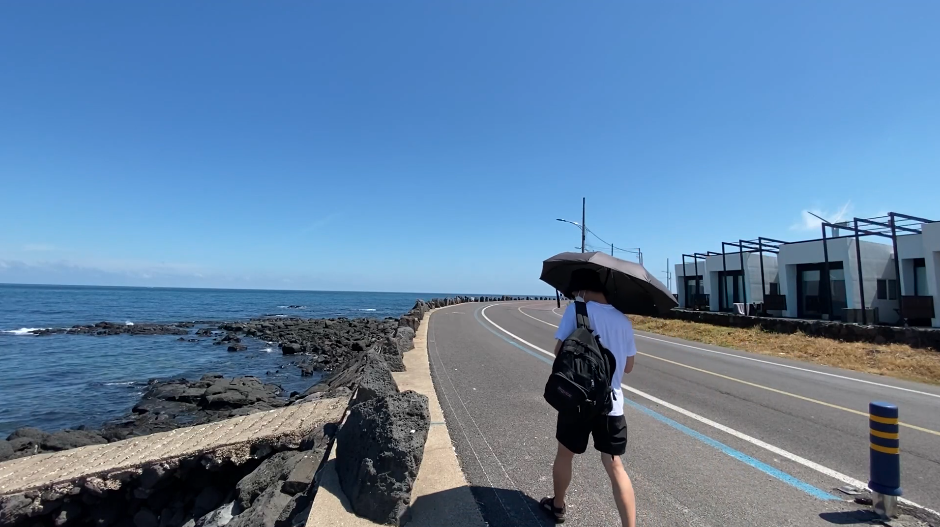 나홀로 제주도 여행 후기