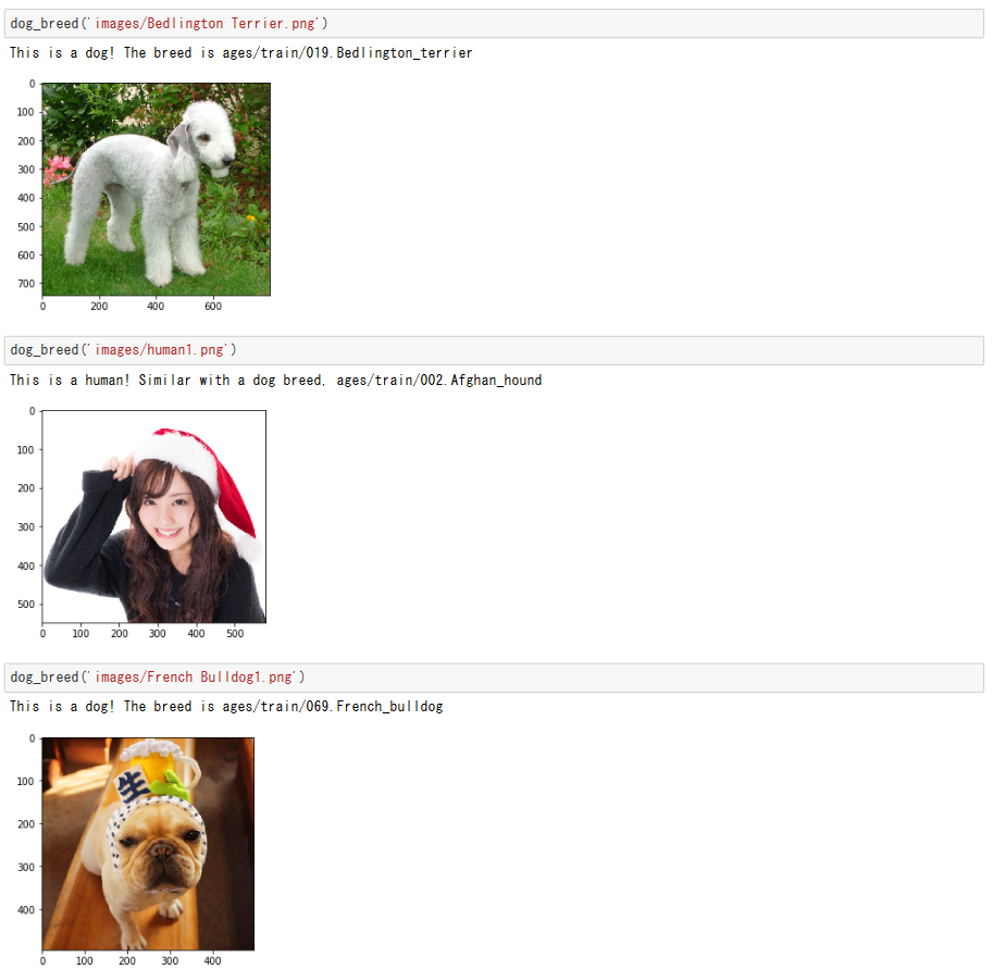 GitHub - RyotaSa/The-Algorithm-for-a-Dog-Identification-App: Dog Breed ...