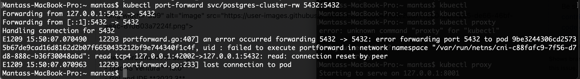 Unable to connect to the cluster using kubectl port-forward ...