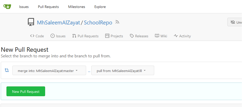 New Pull Request Error 001