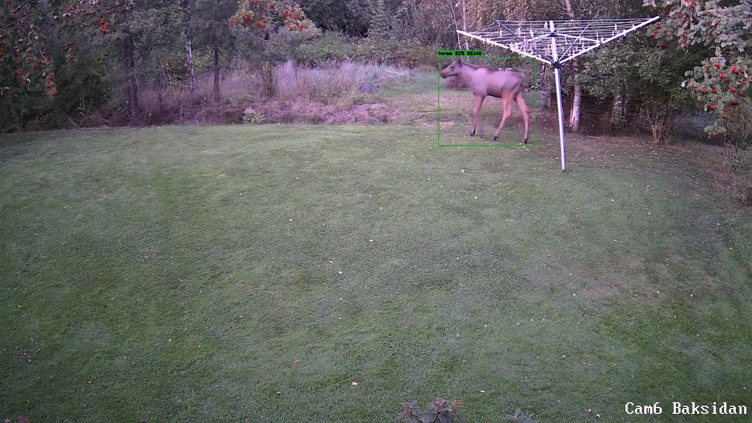 snapshot-1630434316 712235-sdv5pu