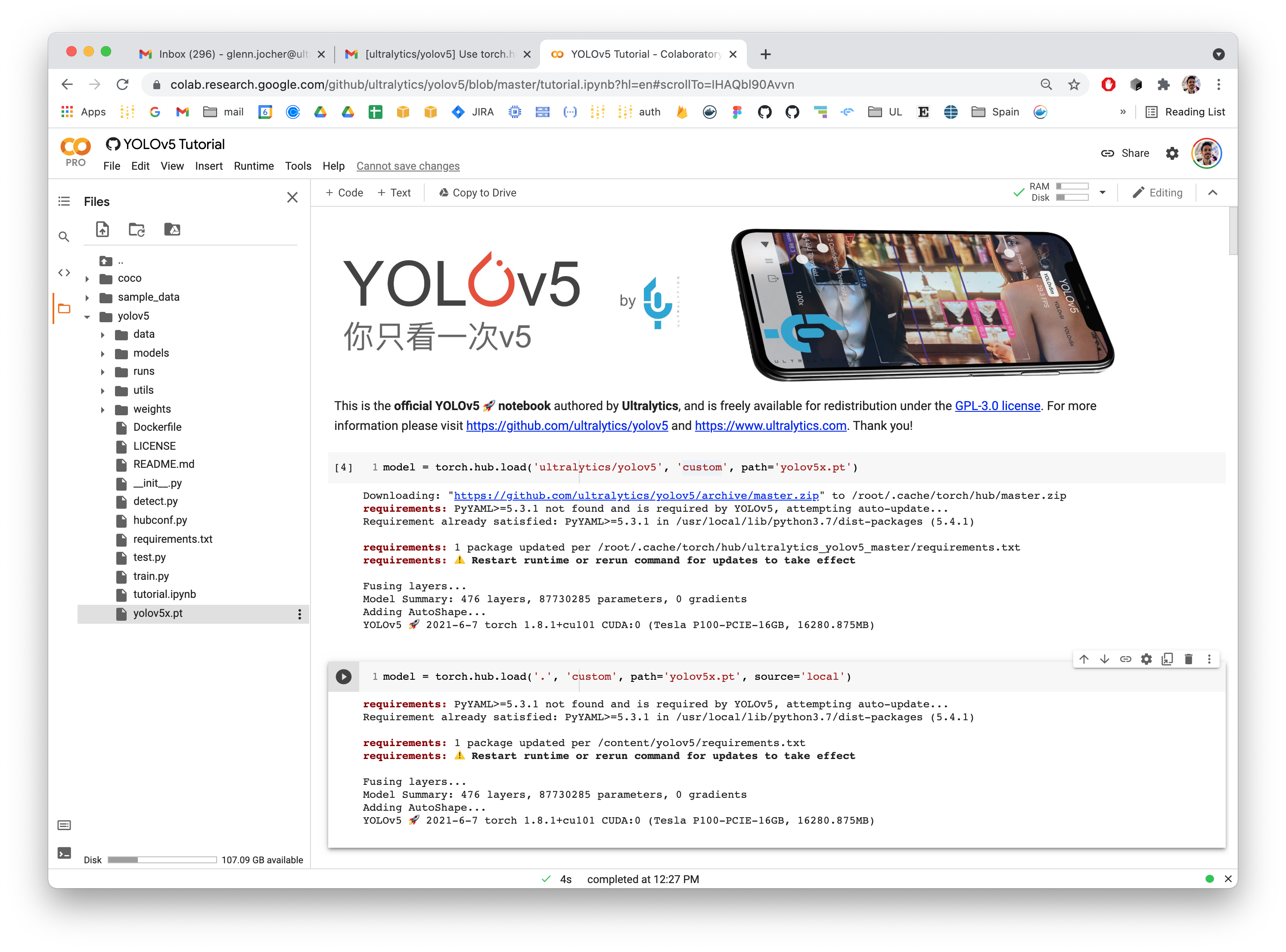 Use torch.hub.load with local saved weights for real time object