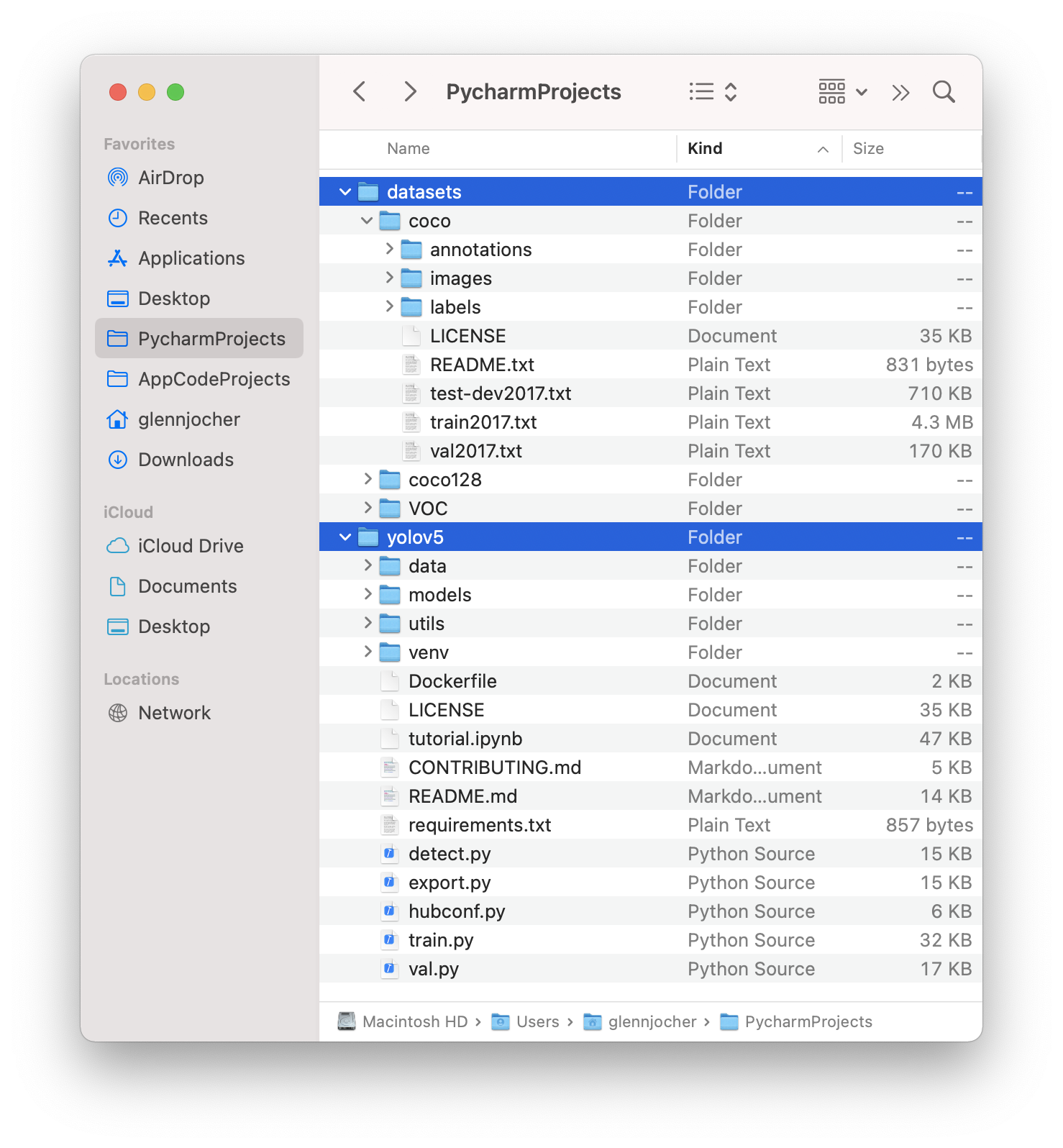 YOLOv5 estructura del conjunto de datos