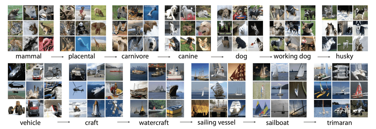 Dataset sample images