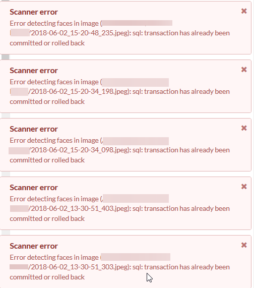 ERROR: Error detecting faces in image (/photos/photo/IMG_20210214 ...