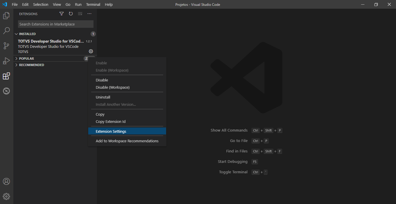 Aplicação de Patch (Apply Patch) · Issue 573 · totvs/tdsvscode · GitHub