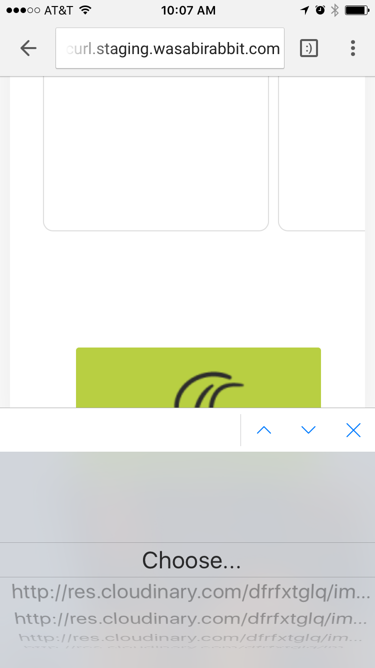 Image selector with choices restful on iOS opens native select · Issue ...