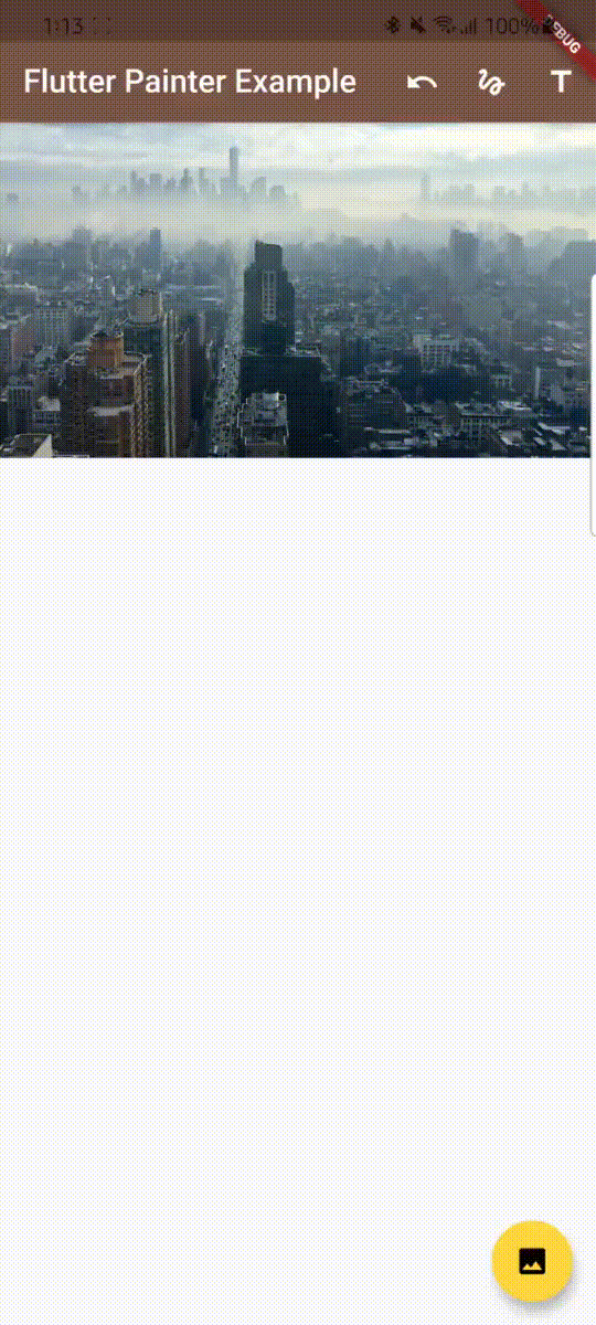 Flutter Painter Video Demo