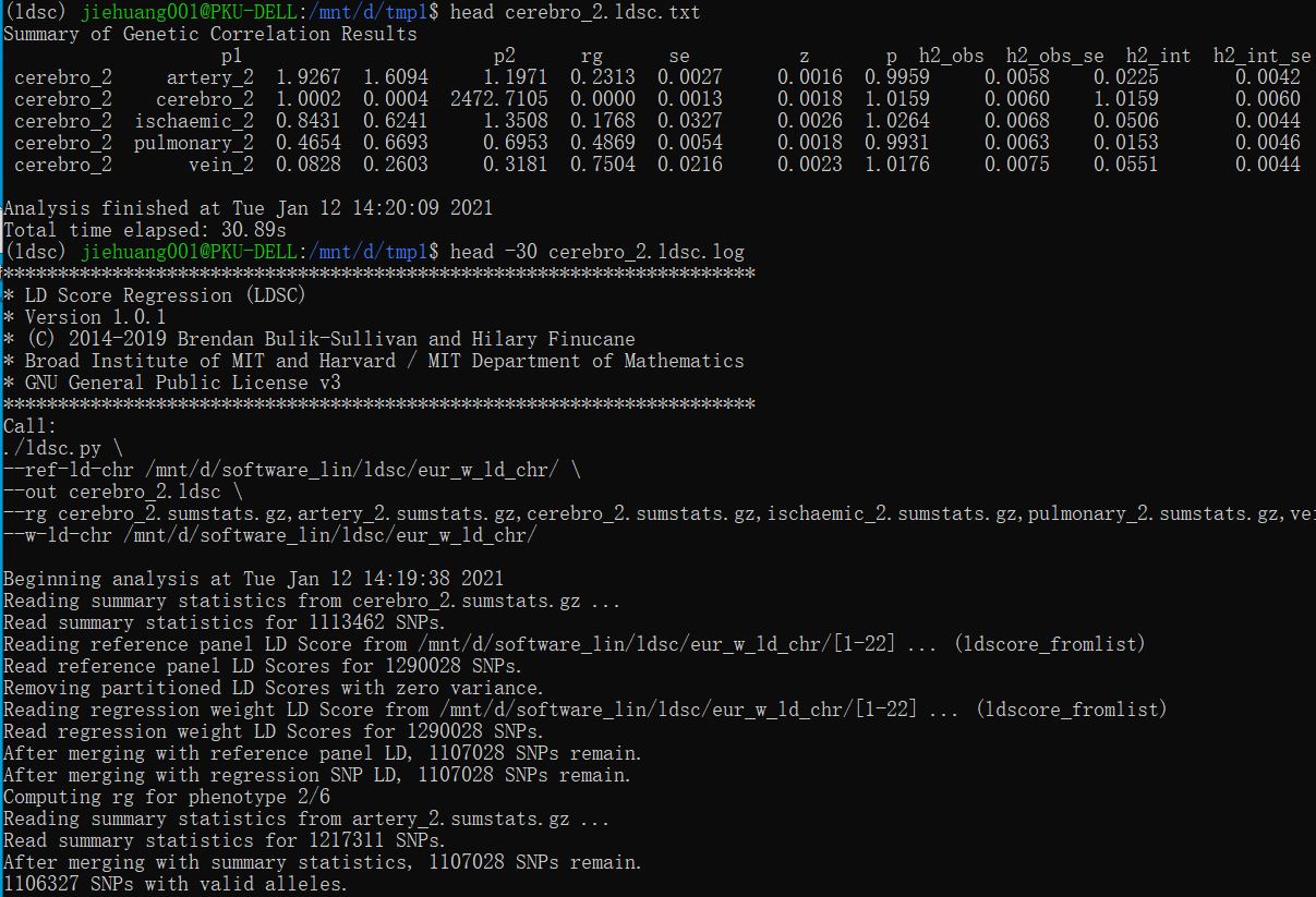 Rg >1? Rg=0.84 but P non-significant · Issue #259 · bulik/ldsc · GitHub