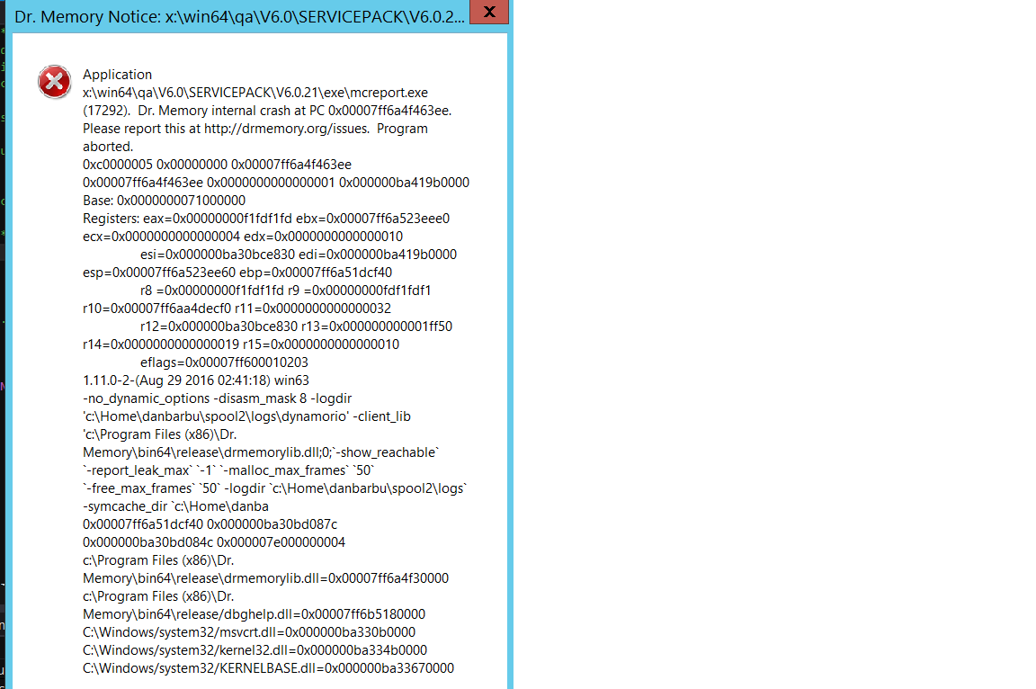 drmemory_crash