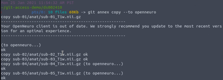 Implement custom remote handler for pushing git annexed objects · Issue ...