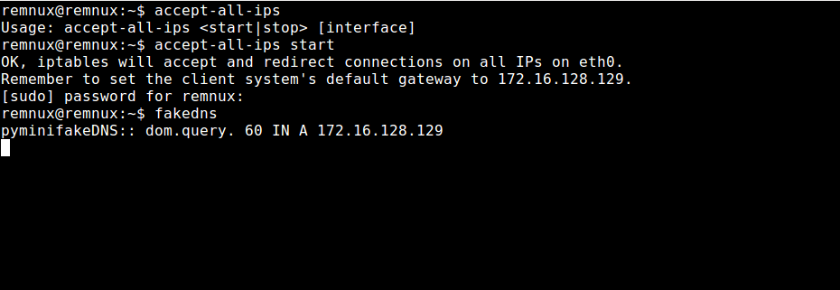 xxxaccept_all_ips_fakedns