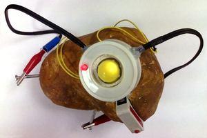 portal_potato_by_cymae-d4ehz5q