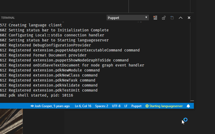 Show Progress · Issue 445 · puppetlabs/puppetvscode · GitHub