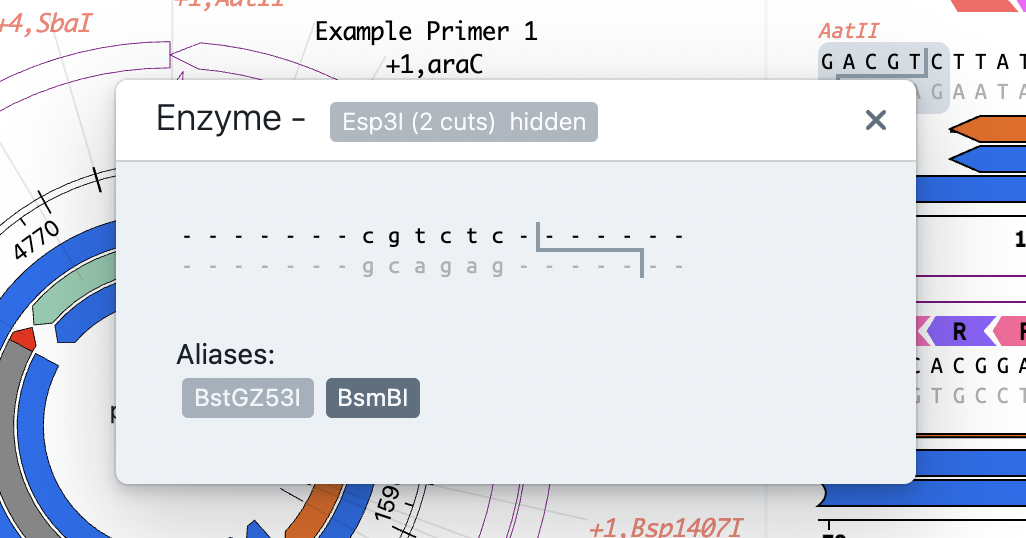 How to add new restriction enzymes to OVE? I can't find Esp3I. · Issue 808 · TeselaGen