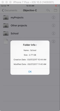 GitHub - Ctsuhw4382/FileManager: A minimalist File Manager for computer.
