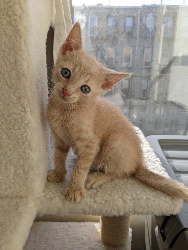 PXL_20211217_145609846