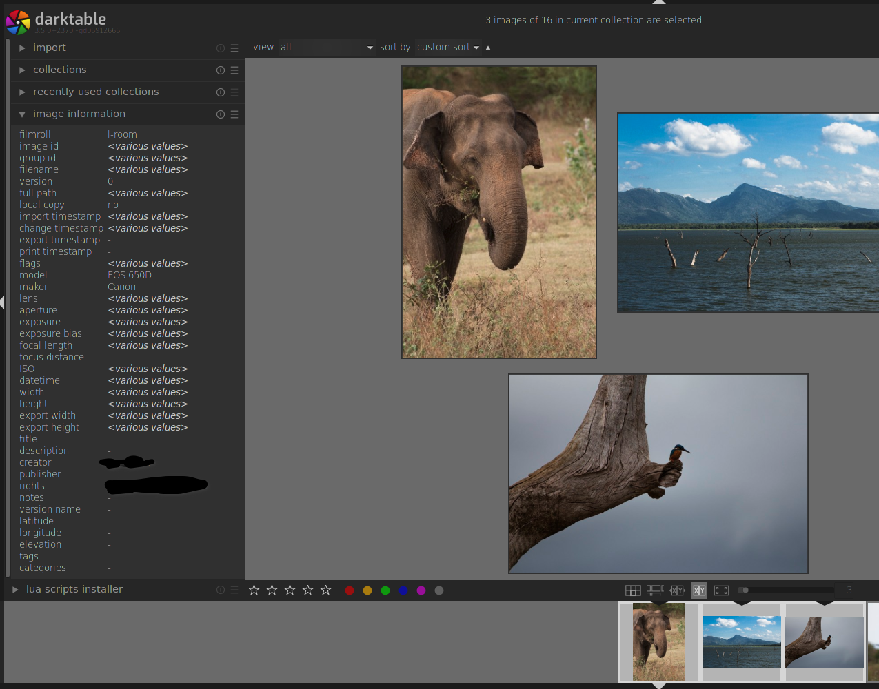 image information does not show " " in culling fixed mode when