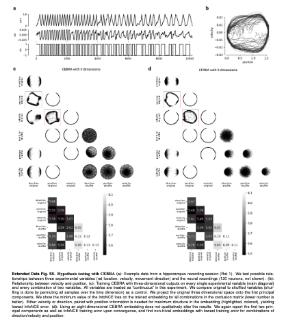 Add Extended Data Figure 5 · Issue #14 · AdaptiveMotorControlLab/cebra ...