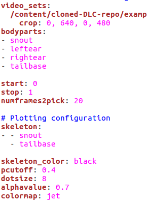 draw_skeleton, 