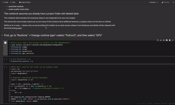 Version 2.2b5 unable to analyze videos after training (get_nframes ...