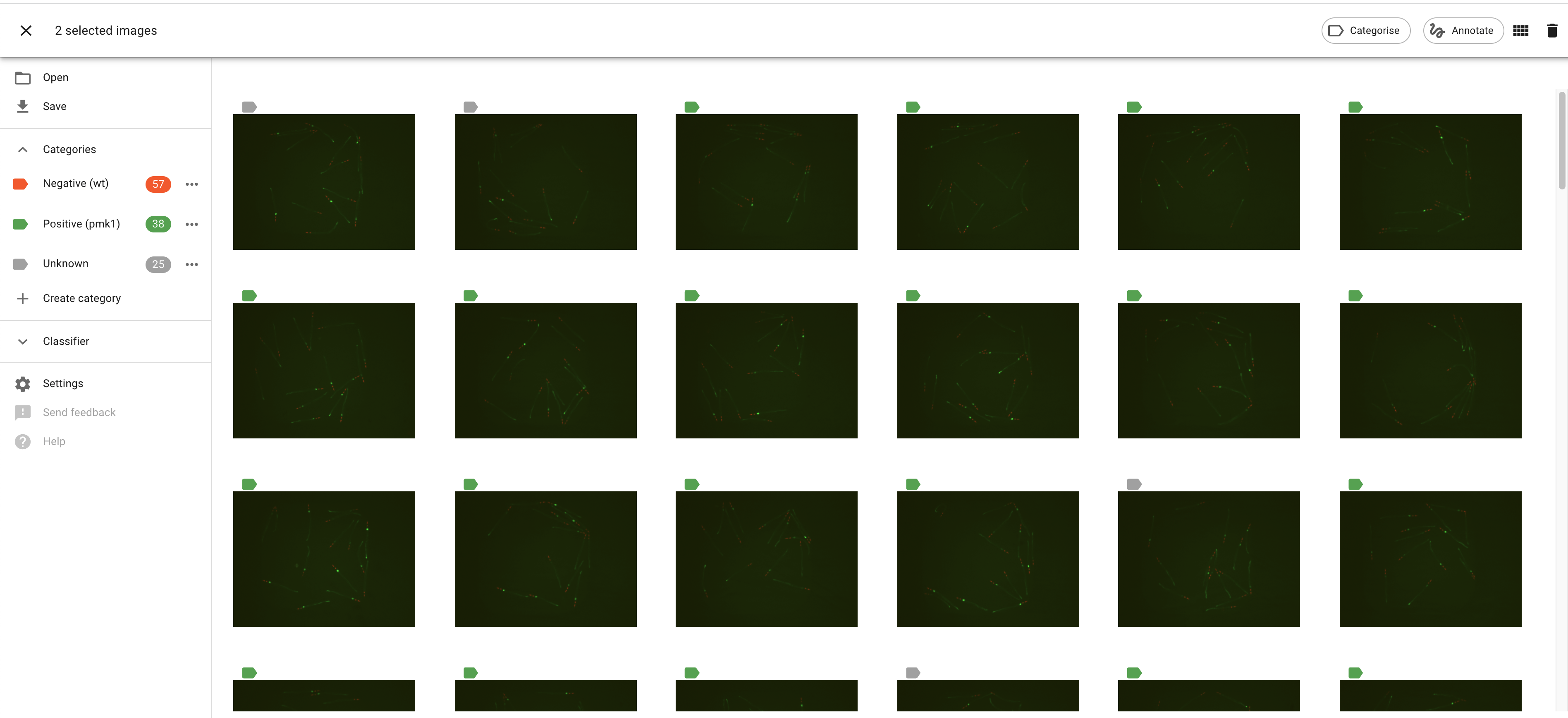 Selections persistent across projects · Issue #229 · piximi/piximi · GitHub