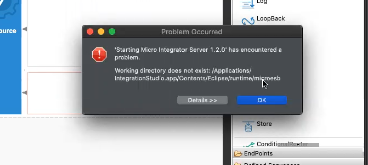 Cannot export project artifact and run when application name is renamed ...