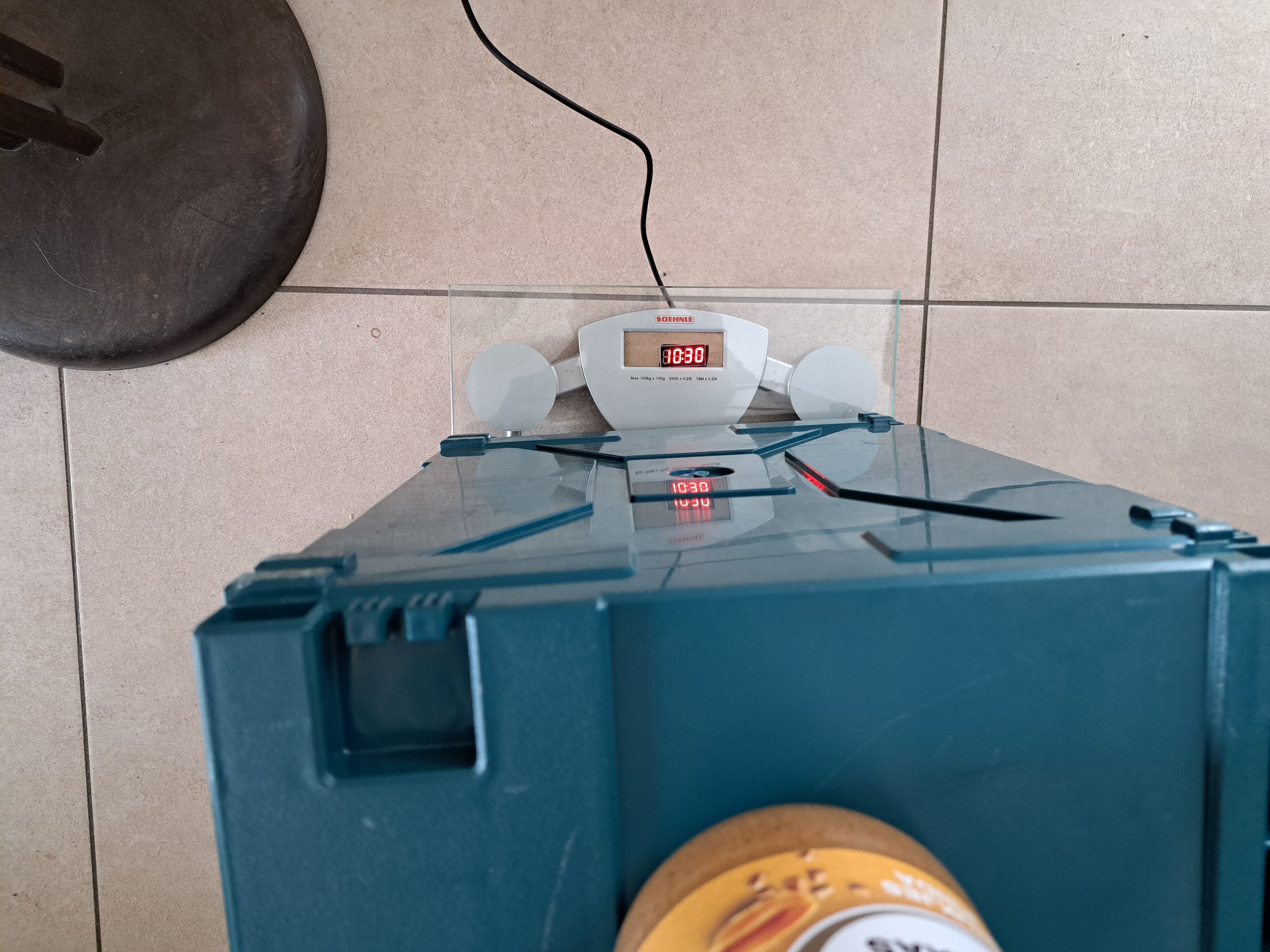 TM1637 display right alignment float · arendst Tasmota · Discussion