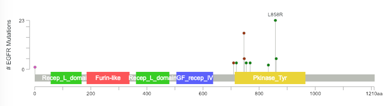 schermafbeelding 2019-02-01 om 16 31 44