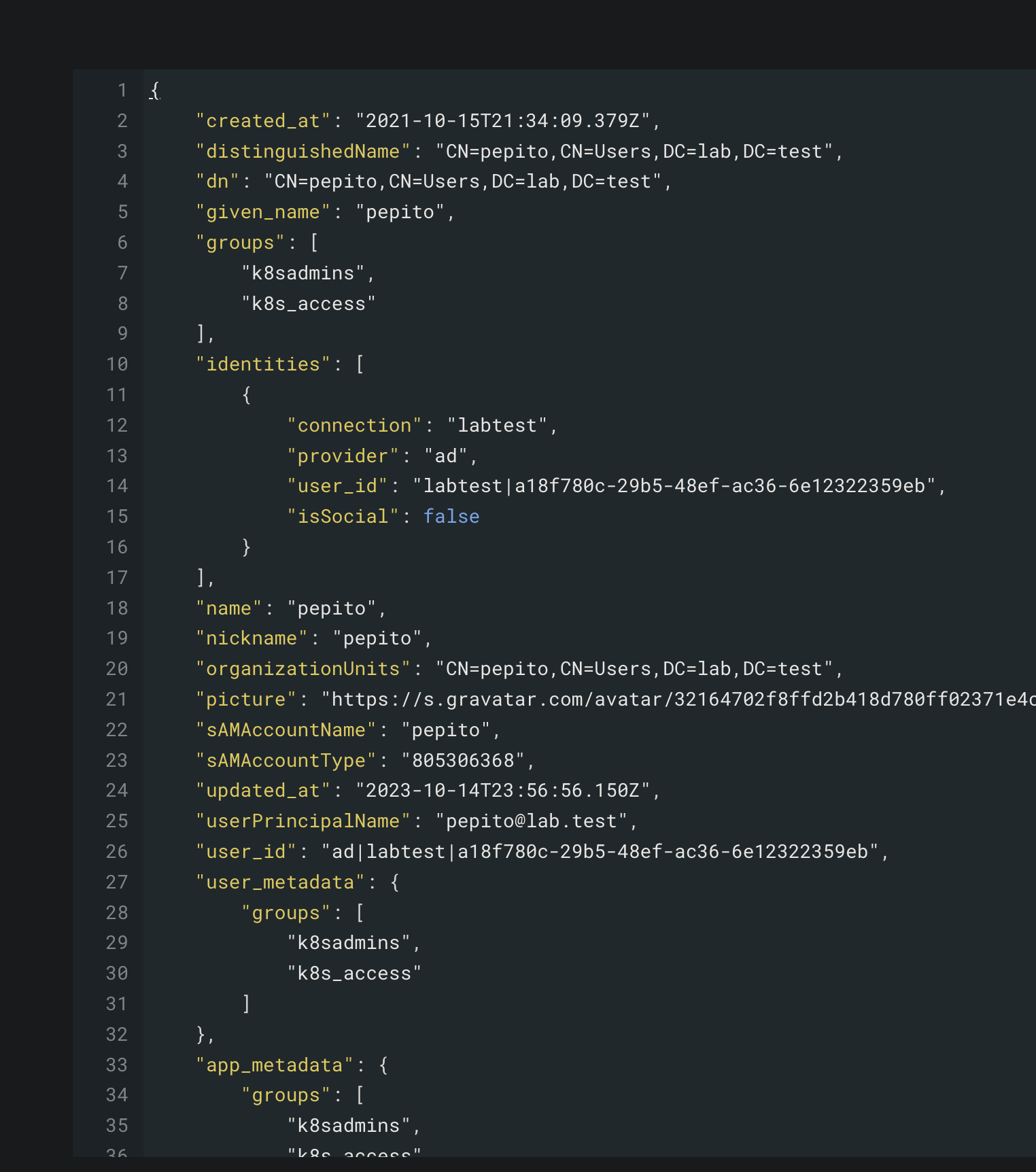 ask about setting oidc · Issue 1436 · headlampk8s/headlamp · GitHub