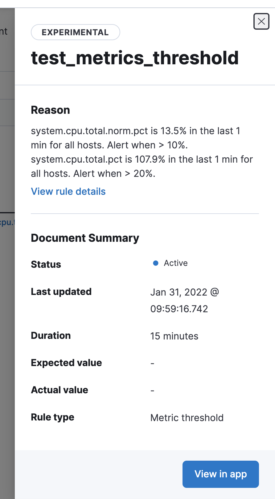 [RAC][Metrics] Display more rule details in the alerts flyout for the