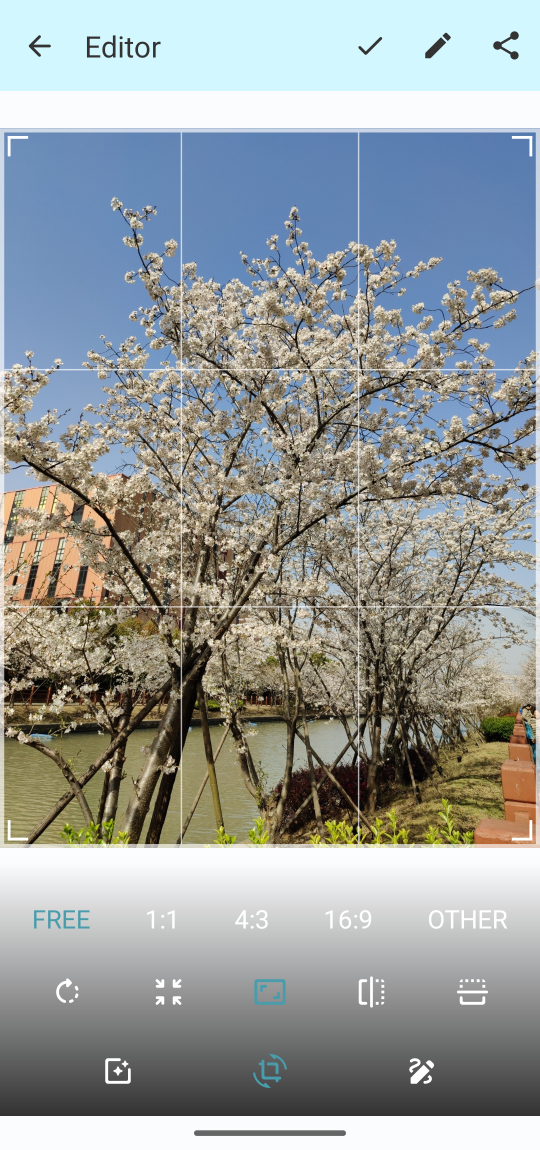 screenshot-of-simple-gallery-pro