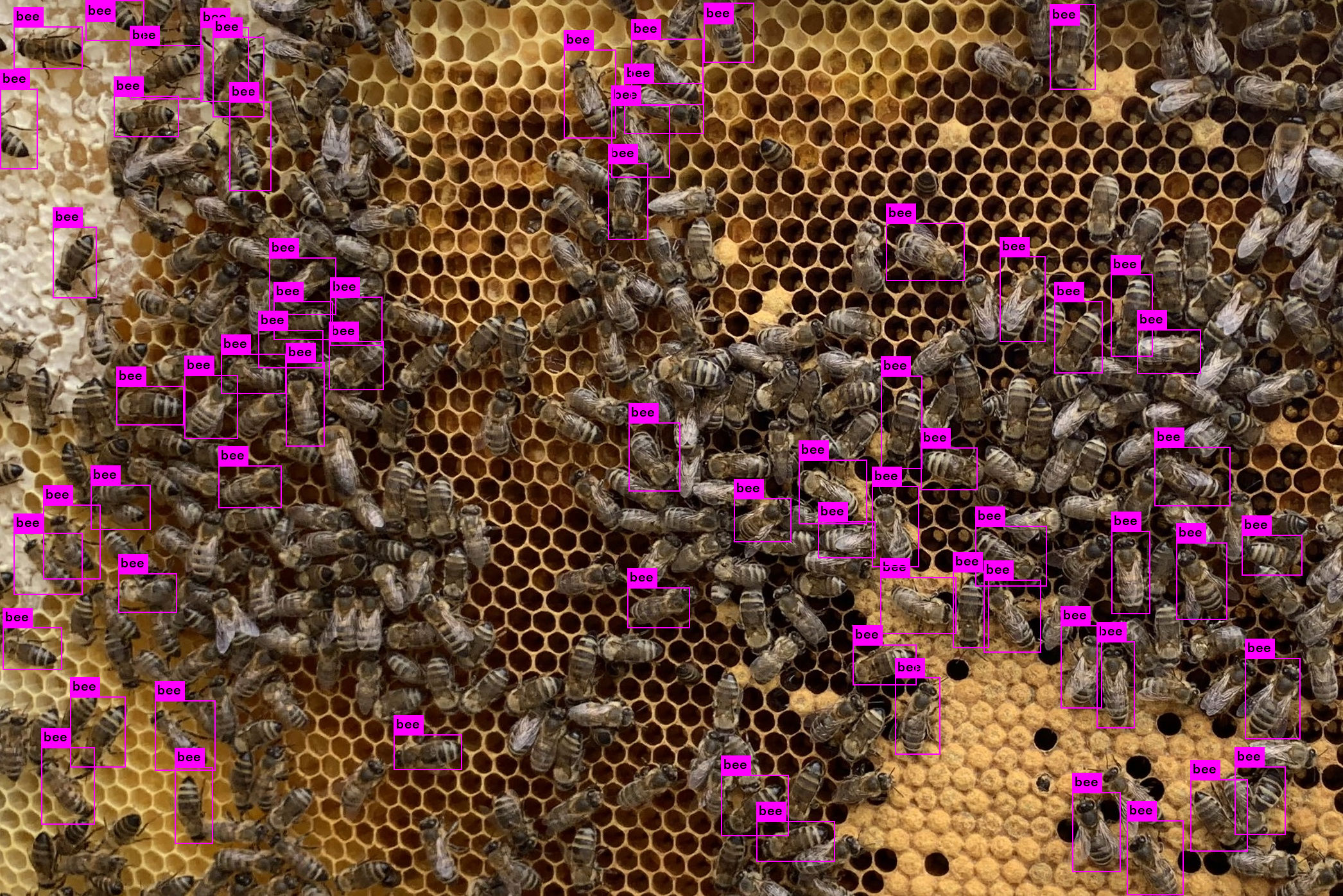 68_IMG_trash_2092*1396