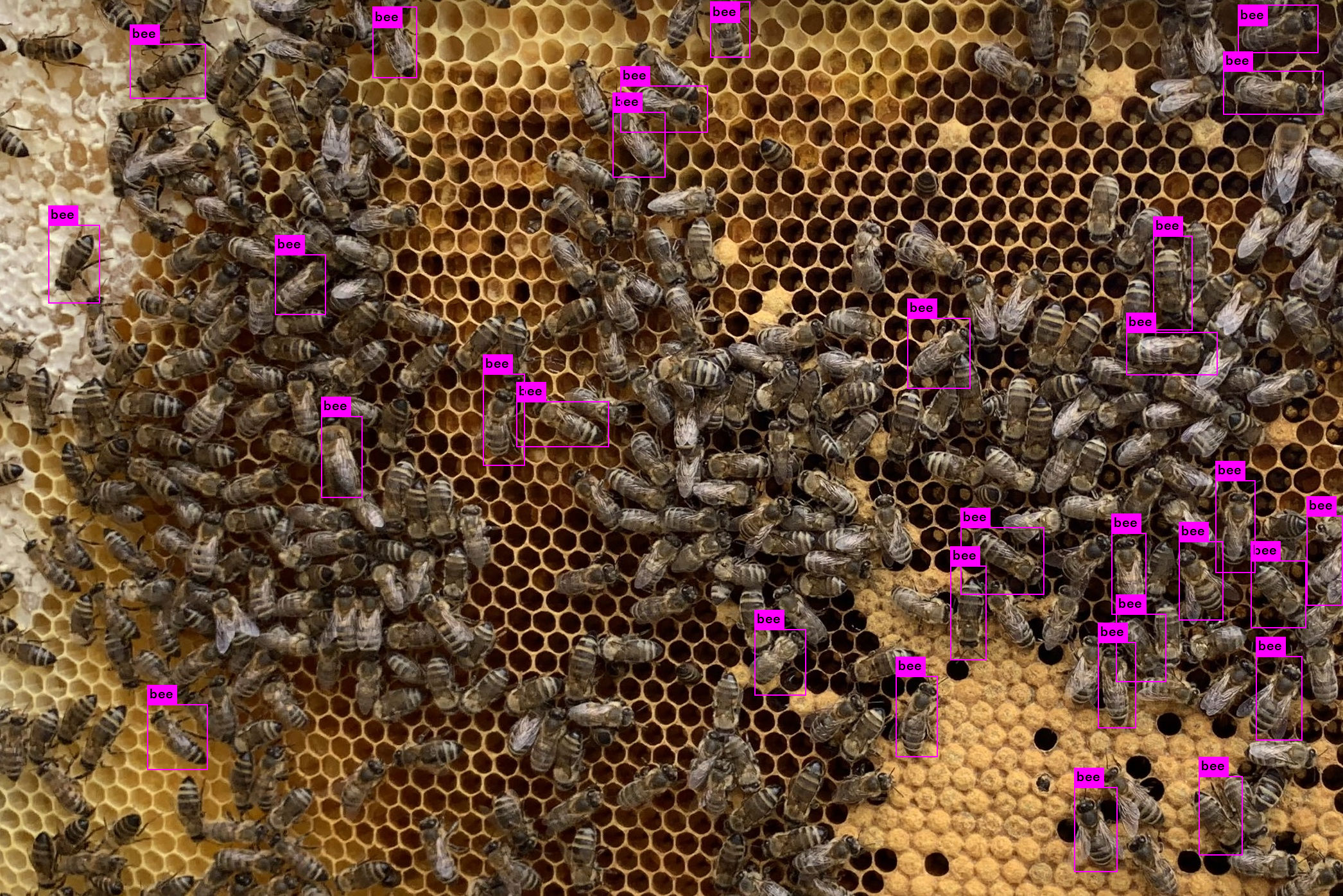 spp_31_IMG_trash_2092*1396