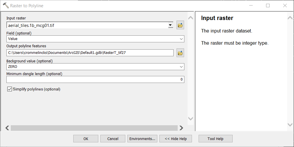 Raster To Polyline in ArcGIS