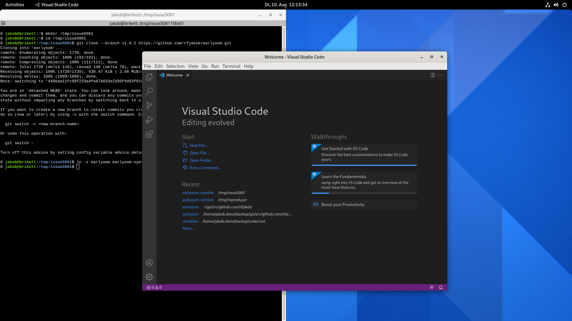 Formatting with a symlinked folder may randomly corrupt files · Issue ...