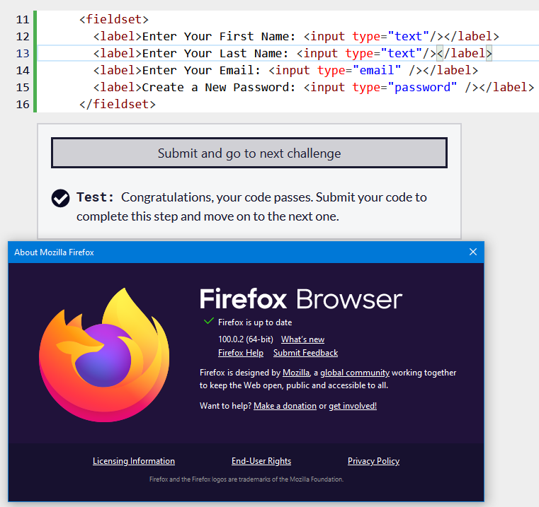 Learn HTML Forms by Building a Registration Form Step 15 · Issue 46091 · freeCodeCamp
