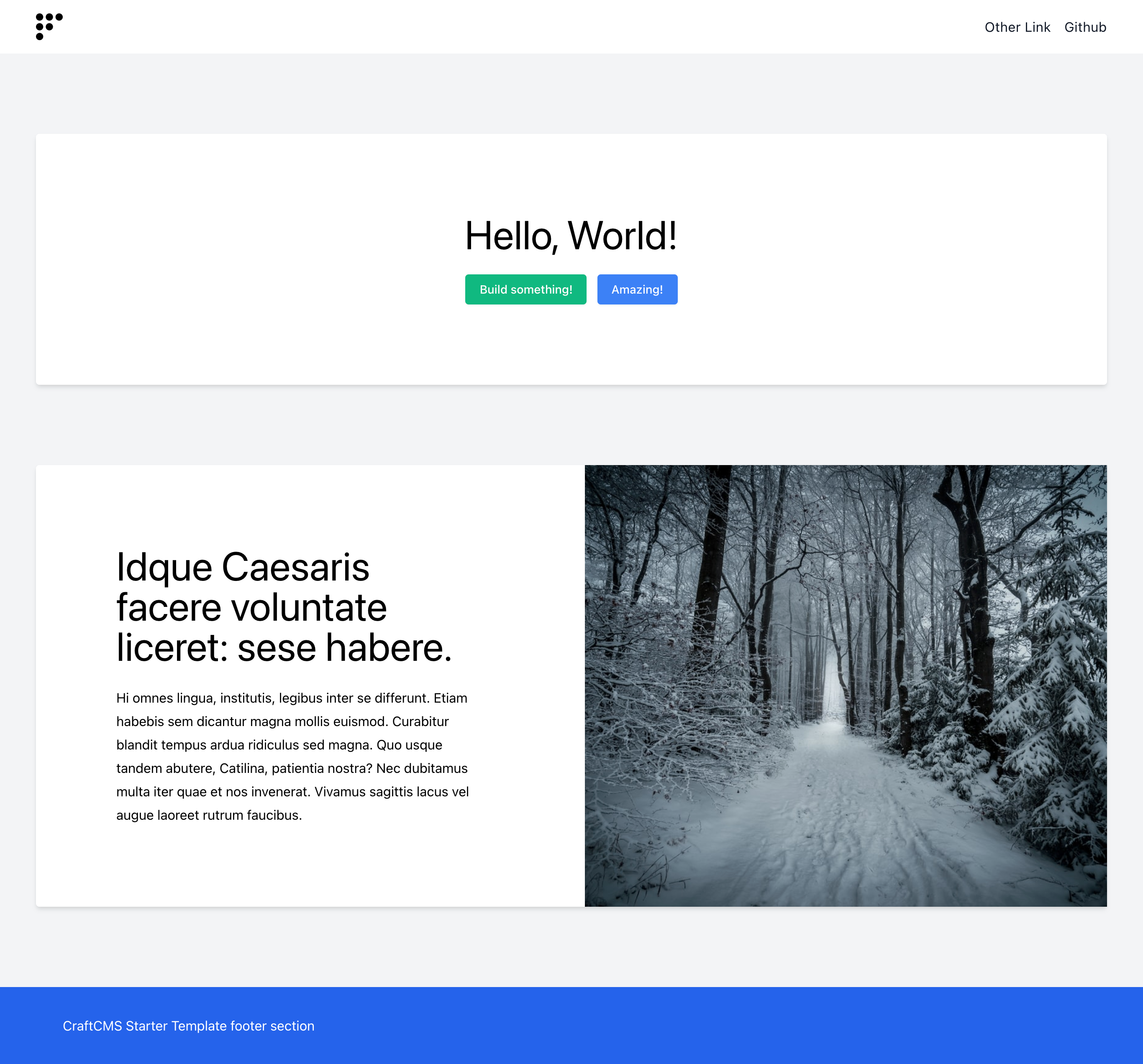 craftcms-starter-template