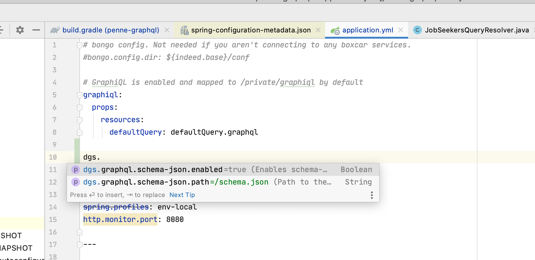 Add ability to disable schema-json and graphiql endpoints by onobc ...