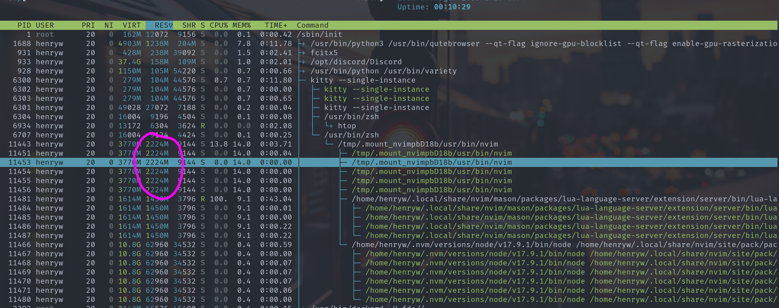lsp progress causing memory leak · Issue #89 · folke/noice.nvim · GitHub