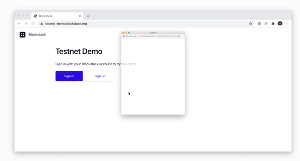 Fix authentication to Testnet Demo with extension · Issue #642 ...