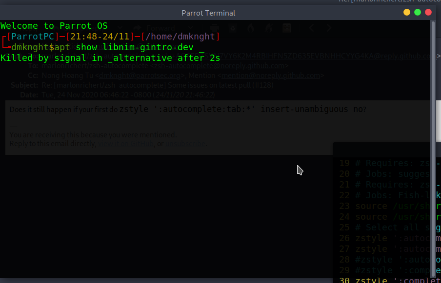 Screenshot at 2020-11-24 21-48-15