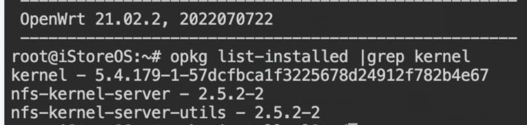 0715版本内核问题 · Issue #328 · istoreos/istoreos · GitHub